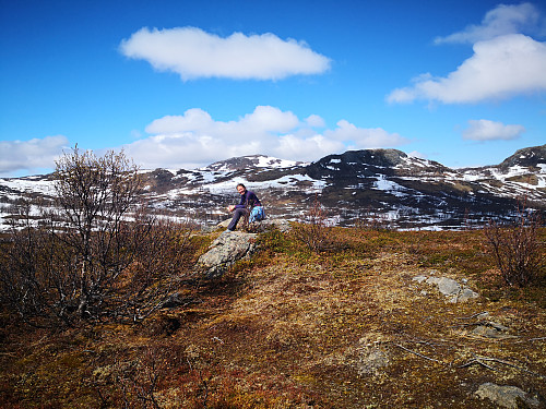 På Slettlikollen. Vardheia bak