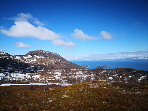 Hinnstein frå Slettlikollen