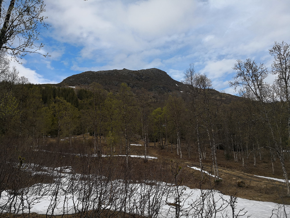 Blåfjellet