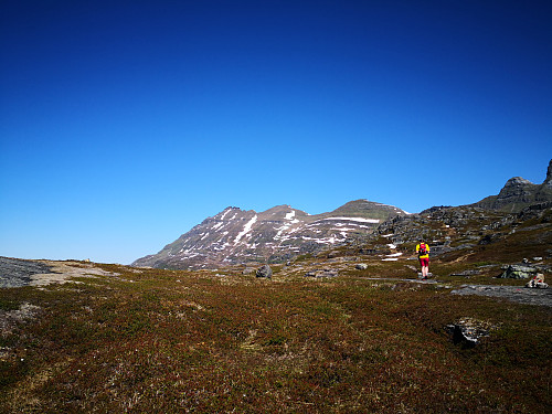 Drangen frå Sulvassheia