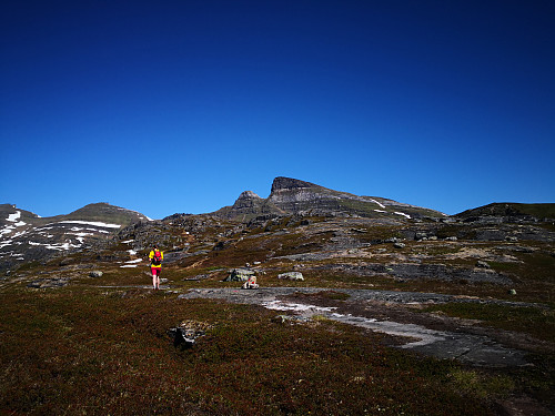 Sula frå Sulvassheia