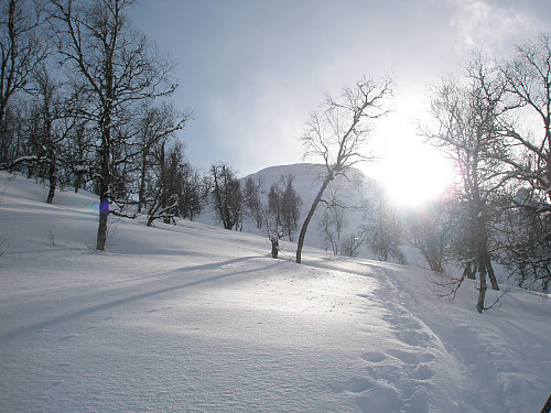 Mot Svarteholten