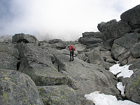 Hansi_20190621_5d0cce778e663.jpg