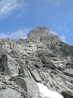 Hansi_20190621_5d0cce79c13ce.jpg