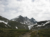 Hansi_20190621_5d0ccedcf20fc.jpg