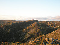 Hansi_20190621_5d0cdaf04ac1d.jpg