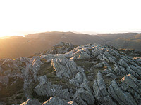 Hansi_20190621_5d0cdaf273ad2.jpg