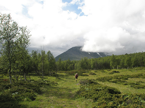 Heidalsmuen