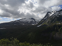 Hansi_20190629_5d1715a0a699e.jpg