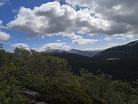 Hansi_20190629_5d1715a29c0b7.jpg