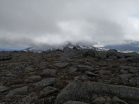 Hansi_20190629_5d17165a1e88a.jpg