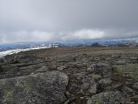 Hansi_20190629_5d1716607a206.jpg