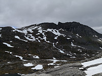 Hansi_20190629_5d17171302f09.jpg