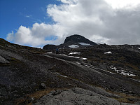 Hansi_20190629_5d17171541a21.jpg