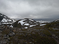 Hansi_20190629_5d1717eeca142.jpg