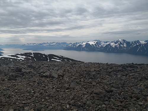 Lyngen frå Uløytinden