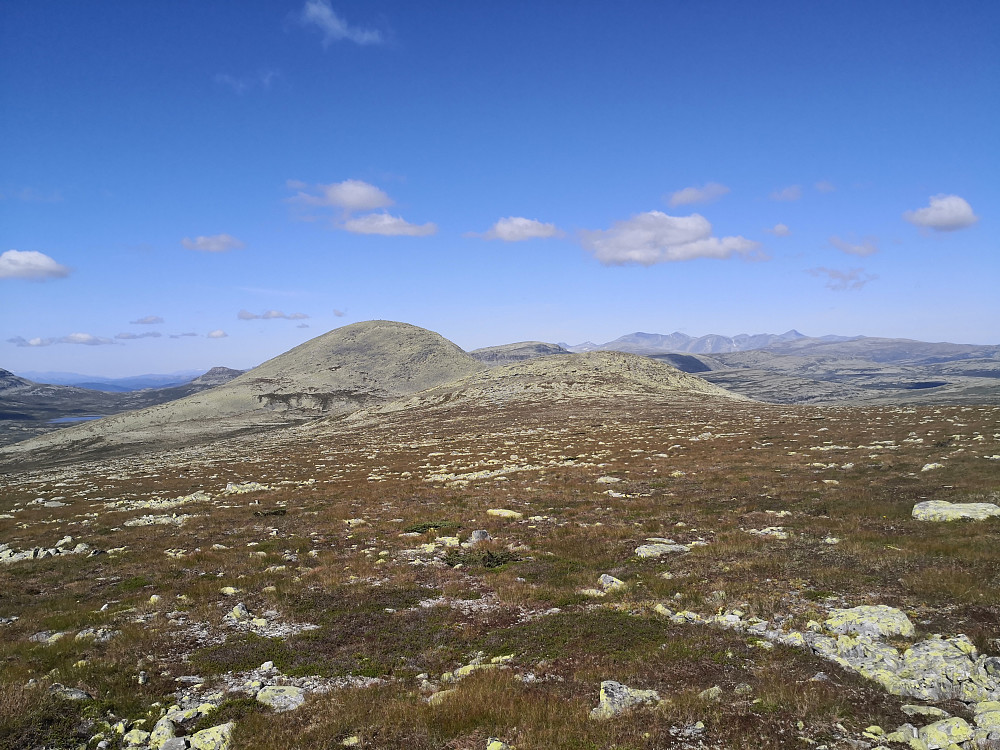 Attende mot Veslmuen, med Muen ruvande bak. Rondane bak til høgre