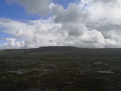 Oppover mot Skarvvola