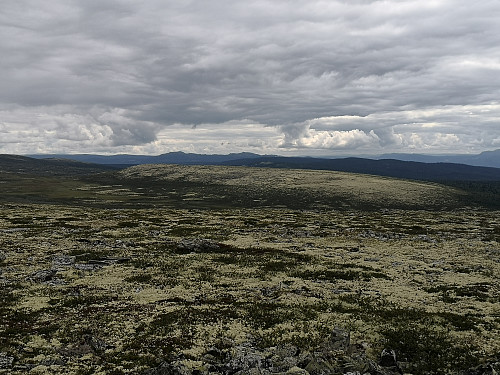 Mot Svangkampen og Djupdalskampen frå Store Skinalia