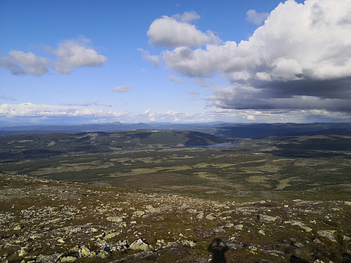 Ålfjell, med Mellene bak, frå Grønsennknippa