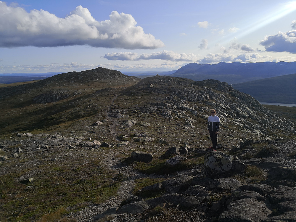 Grønsennknippa frå Nordtoppen