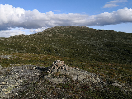 Grønsennknippa frå Søre Grønsennkampen