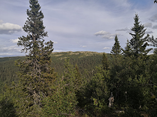 Makalausfjellet frå Vest for Makalausfjellet