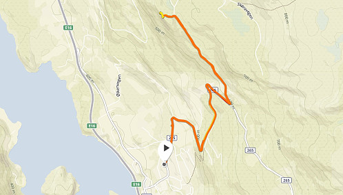 GPS-spor