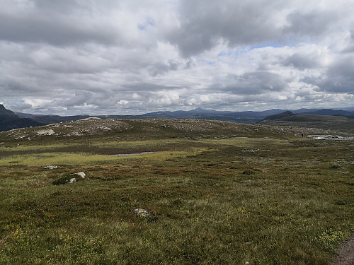 Skaget i det fjerne