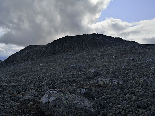 Mugneøret
