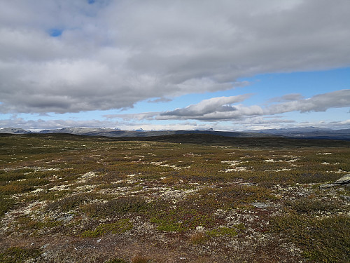 Frå Aust for Rennefjellet mot Jotunheimen og Bitihorn
