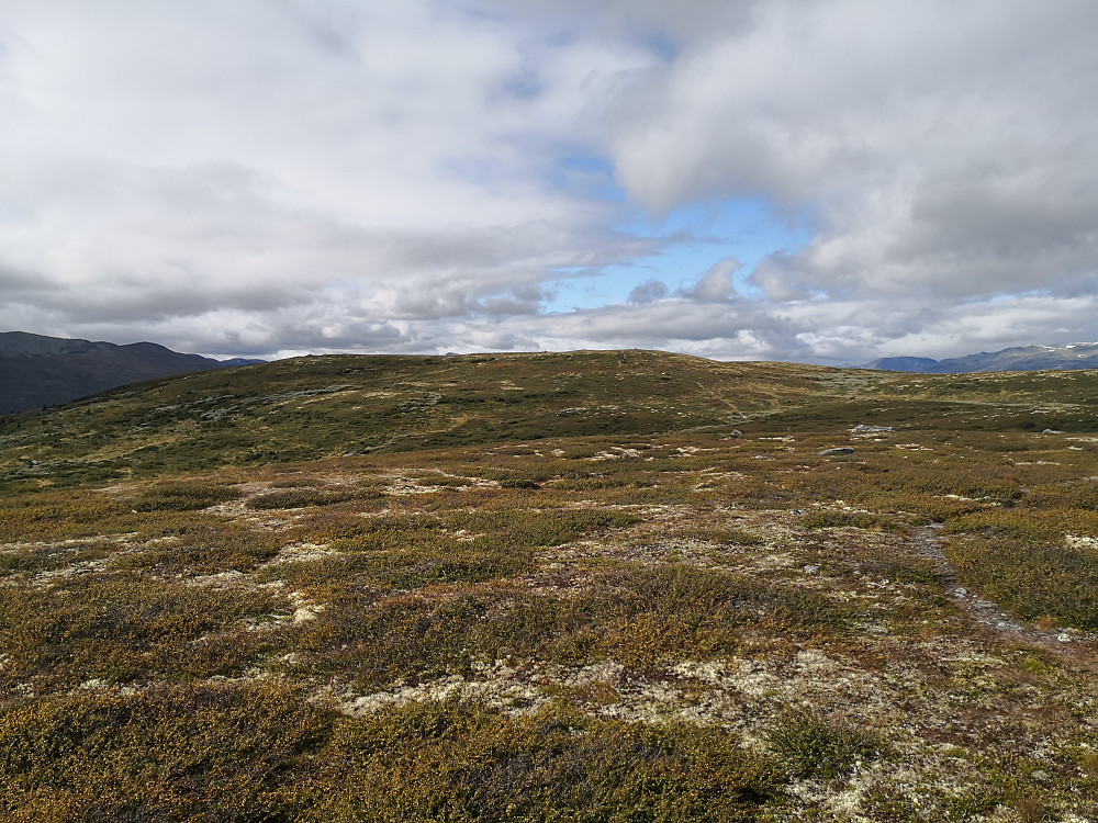 Rennefjellet frå austtoppen