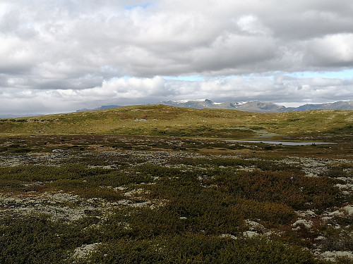 Fra Rennefjellet nordaust mot Rennefjellet nord for, med Vennisfjellet bak