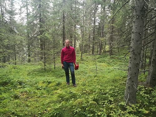 På Løkjeshøvda