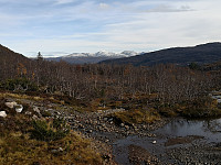 Hansi_20191003_5d9608bf2498c.jpg