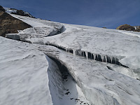 Hansi_20191003_5d9608c384c92.jpg