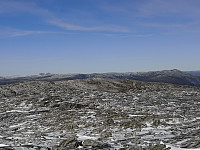 Hansi_20191003_5d960a57efcd3.jpg