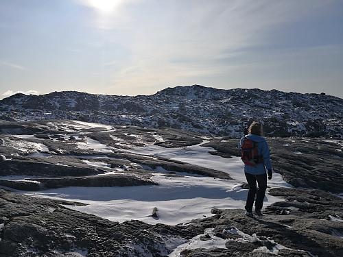 Hjortahorgi