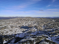 Hansi_20191003_5d960c47364ad.jpg
