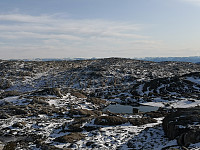 Hansi_20191003_5d960c4d445a6.jpg