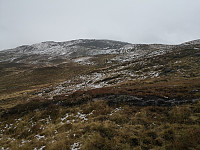 Hansi_20191003_5d96119649411.jpg