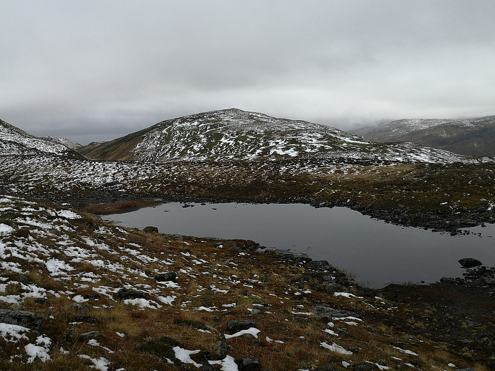 Over mot Høgafjellet