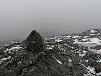 Hansi_20191003_5d9611a173695.jpg