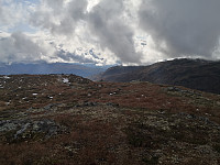 Hansi_20191003_5d9615974ae8c.jpg
