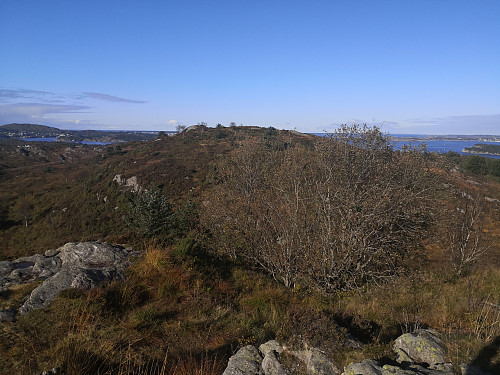 Botlenipa frå Botlenipane søraust