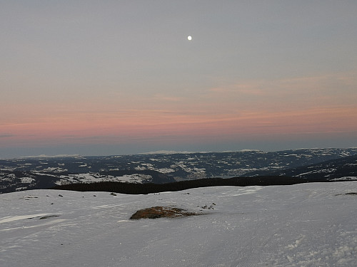 Austover frå Synet