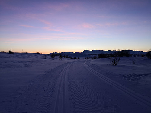 Mot Skogshorn