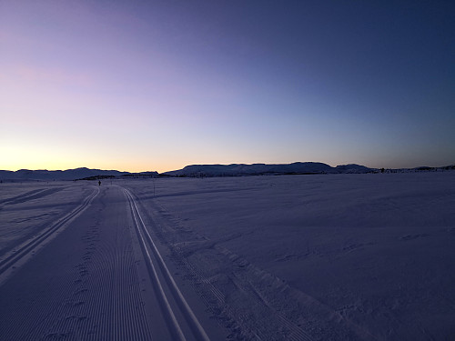 Ved Knattetjernet, mot Grønsenknippa