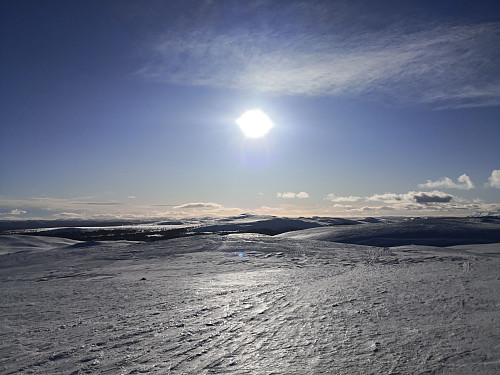 Utsikt frå Bjødalskampen