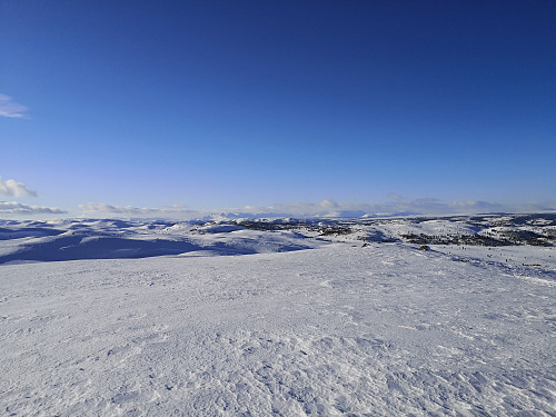 Utsikt frå Bjødalskampen